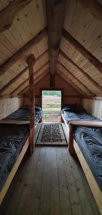Vittfarnas Hird Vikingaby Bed and Breakfast Sosdala Esterno foto