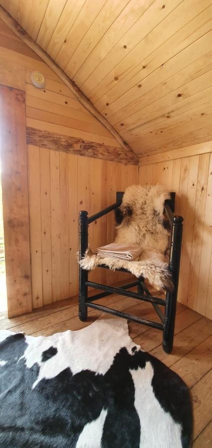 Vittfarnas Hird Vikingaby Bed and Breakfast Sosdala Esterno foto