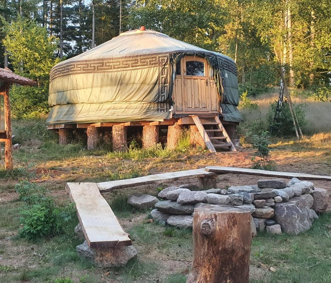 Vittfarnas Hird Vikingaby Bed and Breakfast Sosdala Esterno foto