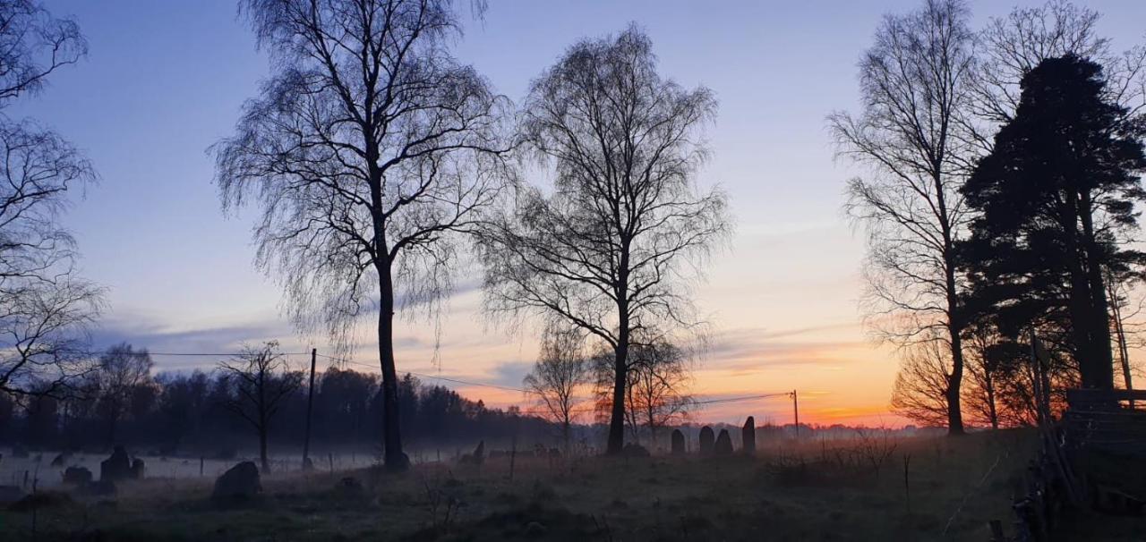 Vittfarnas Hird Vikingaby Bed and Breakfast Sosdala Esterno foto